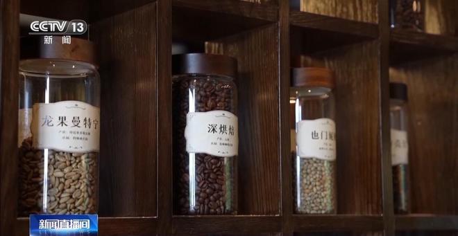 搭”经营 云南“咖啡＋”成消费新时尚开元棋牌app｜用好豆出好咖啡 “混