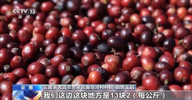 搭”经营 云南“咖啡＋”成消费新时尚开元棋牌app｜用好豆出好咖啡 “混(图7)