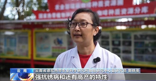 搭”经营 云南“咖啡＋”成消费新时尚开元棋牌app｜用好豆出好咖啡 “混(图6)