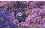 服务繁荣文旅市场开元棋牌以更优