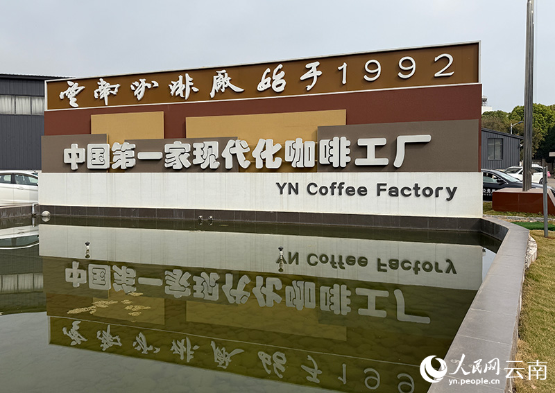 “出山”走向“出圈”开元棋牌云南咖啡：从(图3)
