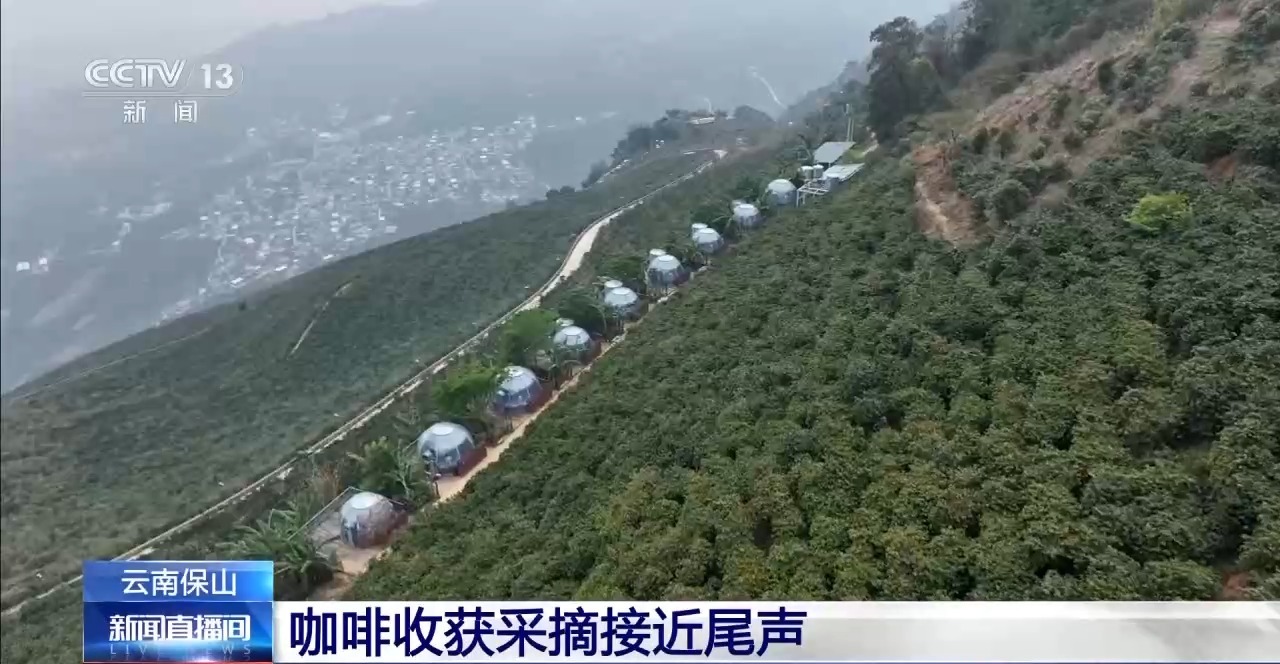 两张产业名片助力云南经济腾飞开元棋牌“左手咖啡右手茶”(图2)