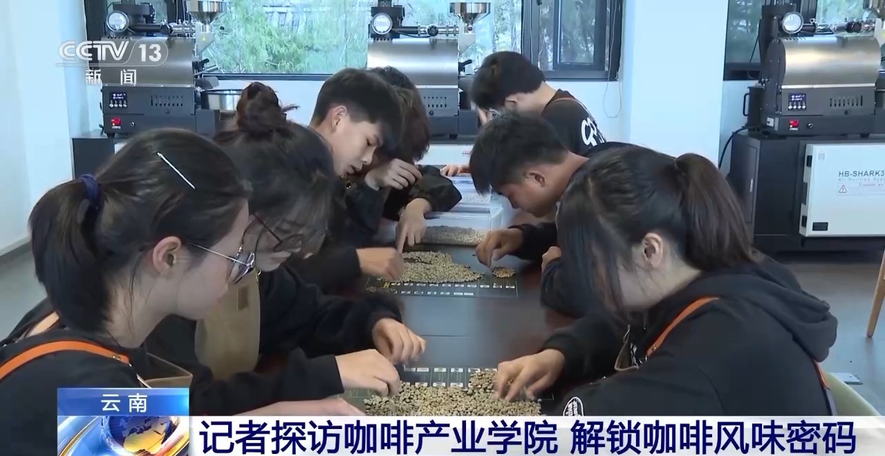 两张产业名片助力云南经济腾飞开元棋牌“左手咖啡右手茶”(图3)