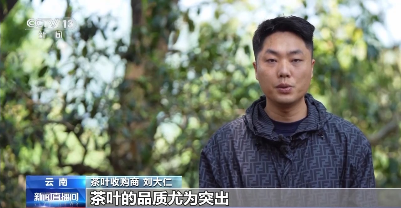 两张产业名片助力云南经济腾飞开元棋牌“左手咖啡右手茶”(图6)