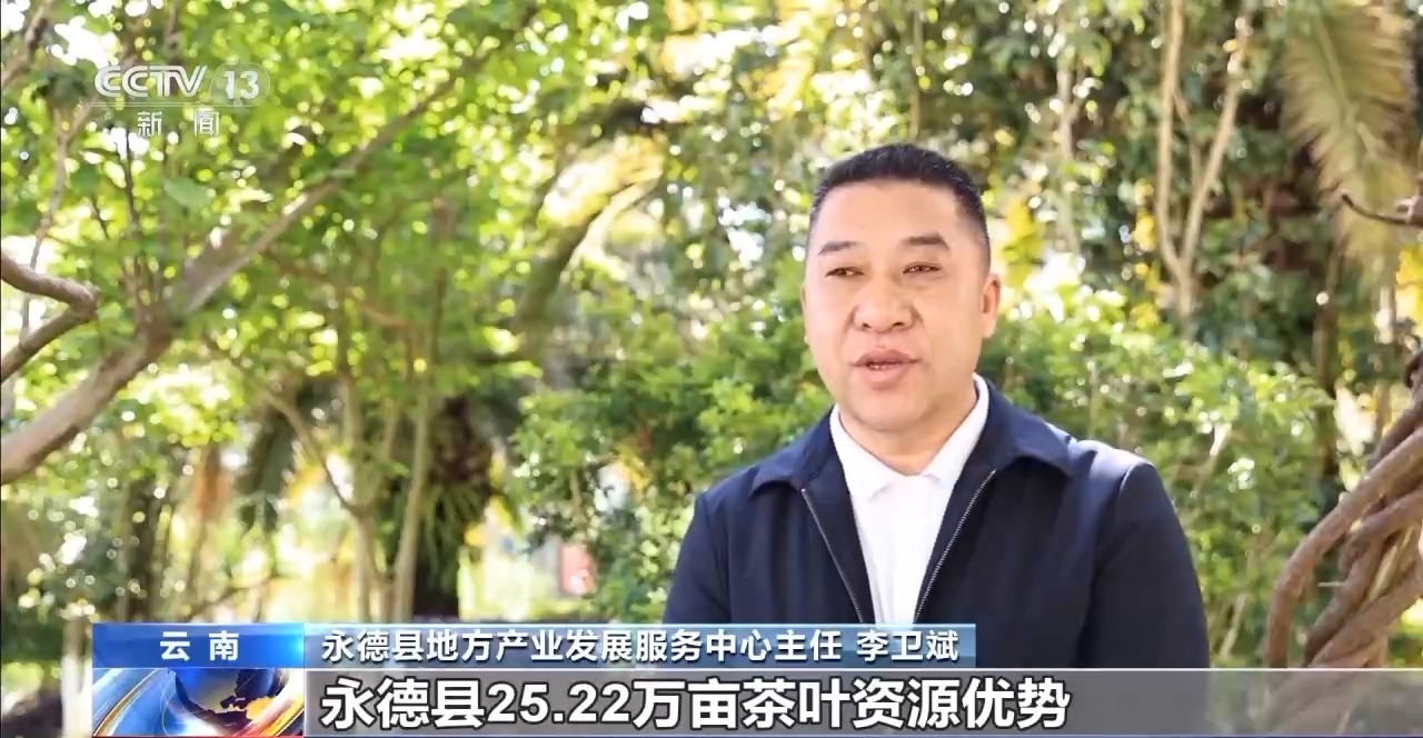 两张产业名片助力云南经济腾飞开元棋牌“左手咖啡右手茶”(图11)