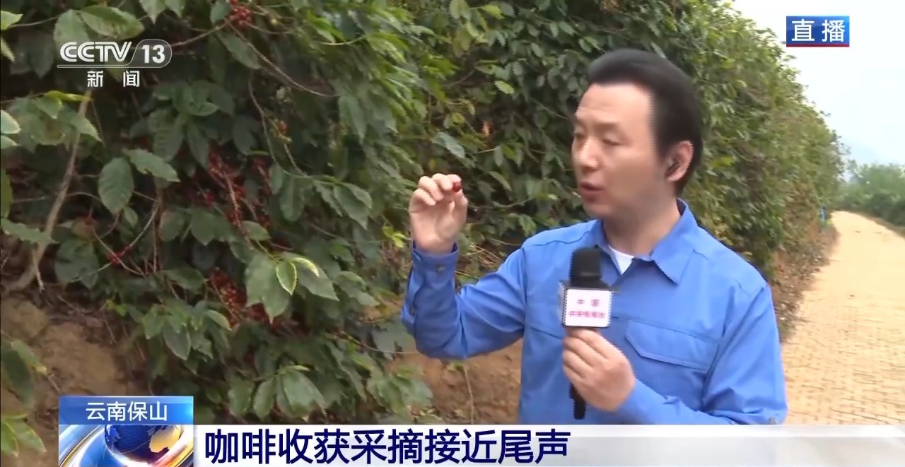 两张产业名片助力云南经济腾飞开元棋牌“左